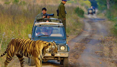Jeep Safari Booking in Corbett