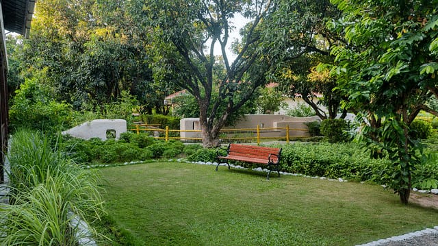 Infinity Resort in Corbett