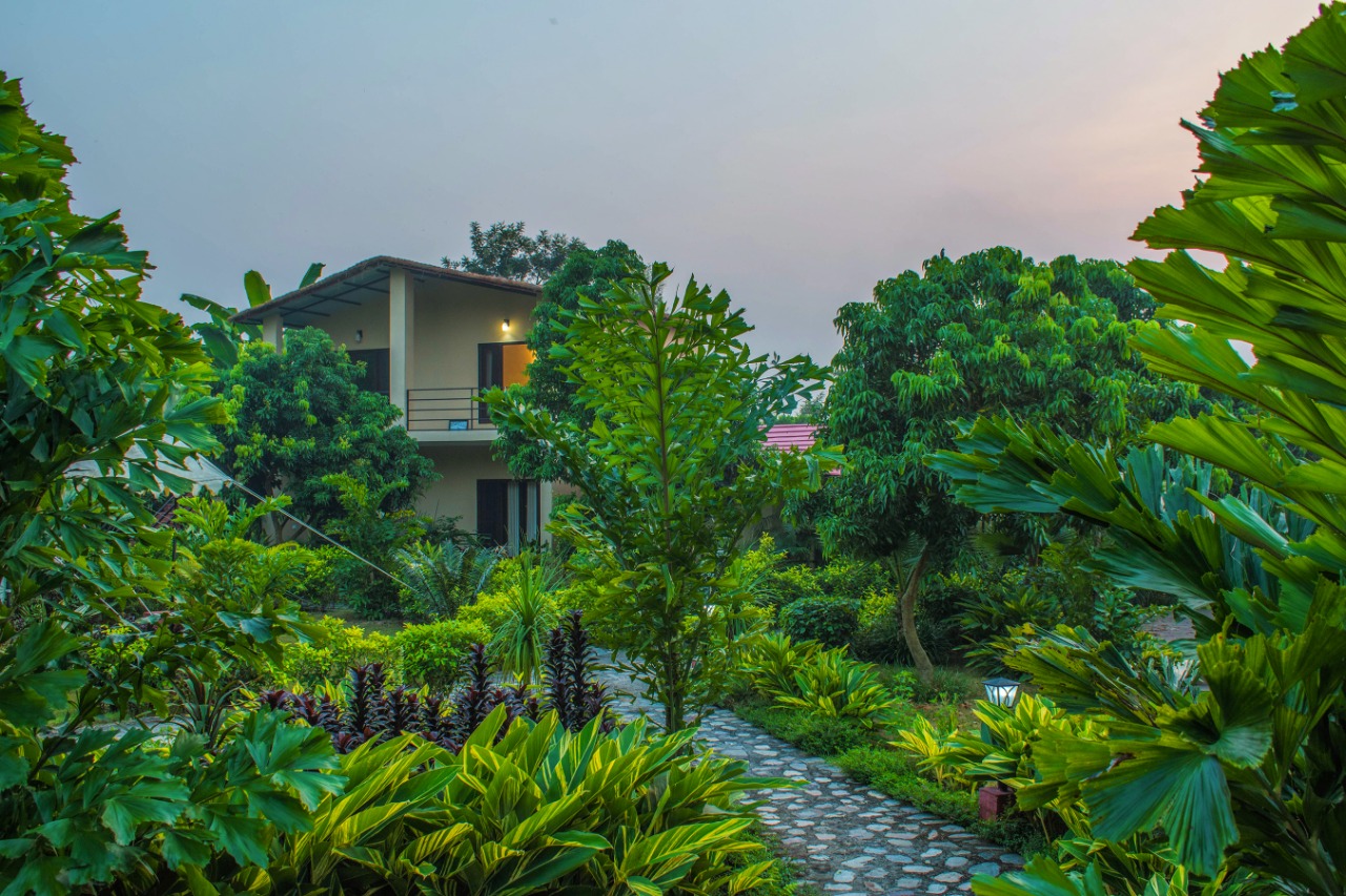 Tigers N Trees Resort Corbett