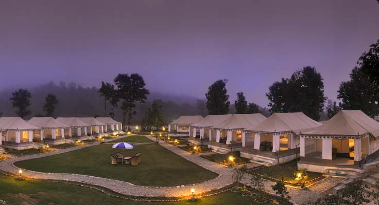 Wood Resort
