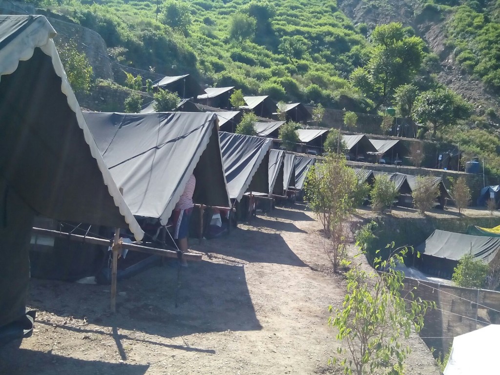 Mogli Camp