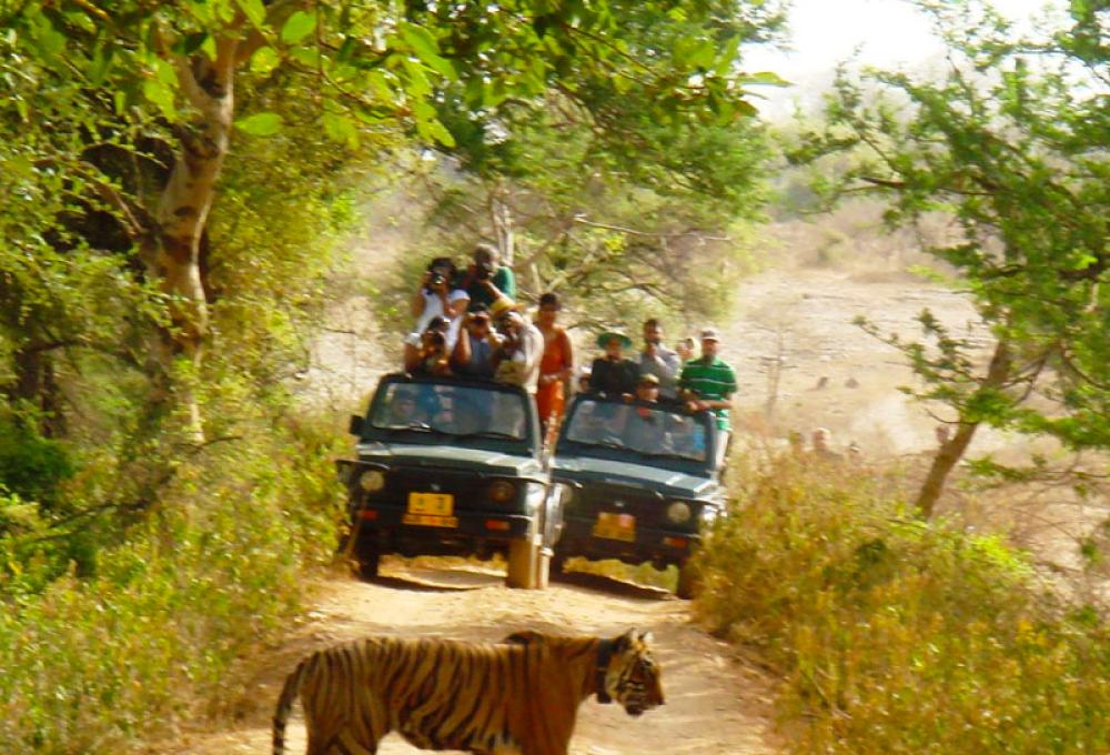 Jeep Safari in Corbett