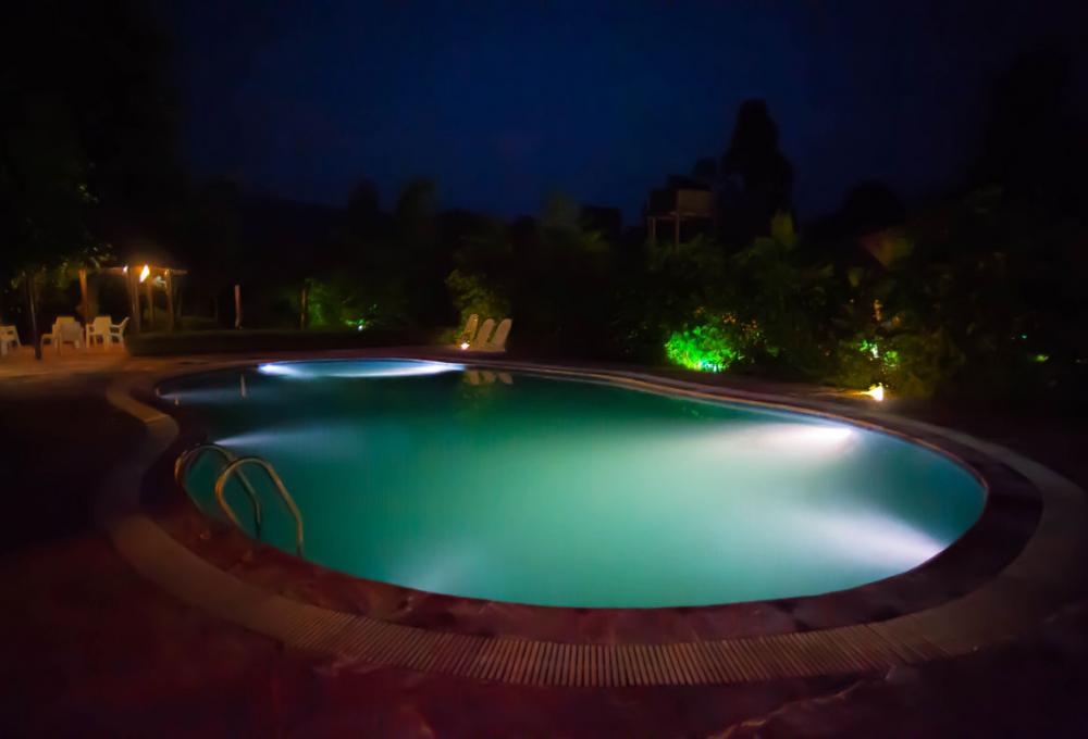 Swimming Pool Machaan Resort