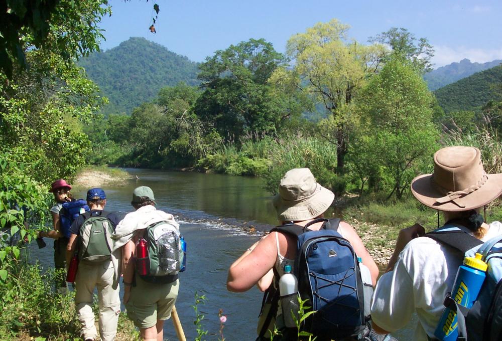 Nature Walk Corbett Machaan Resort