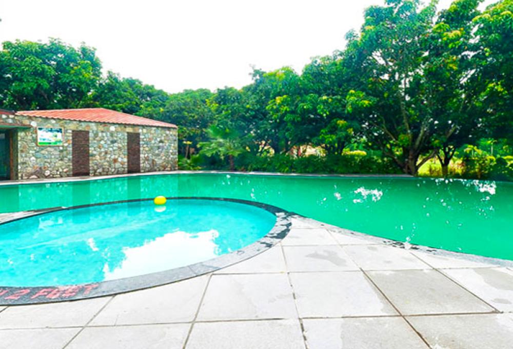 Swimming pool Iris Resort 