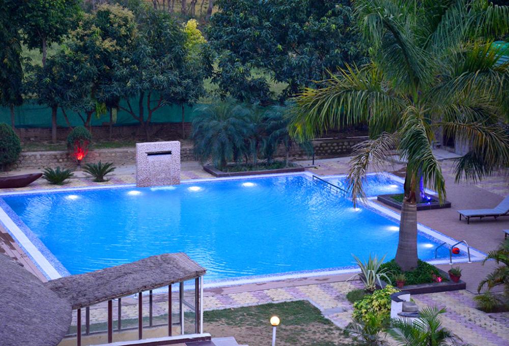 Swimming pool View