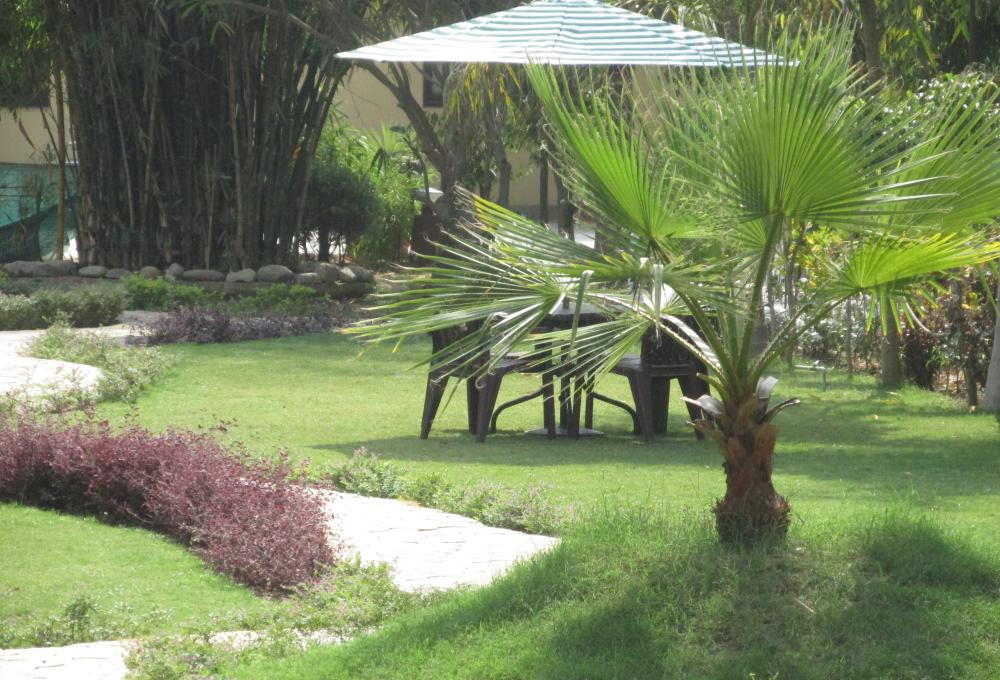 Garden View Clarissa Jim Corbett Resorts