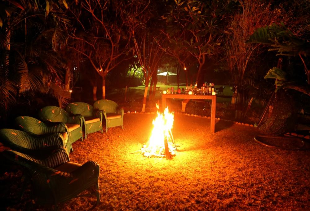 Bonefire in Night Acorn Resort 