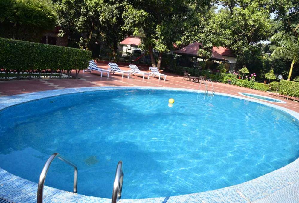 Swiming Pool Jungle Leela Resort