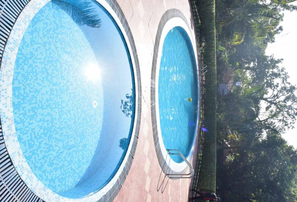Swiming Pool Jungle Leela Resort
