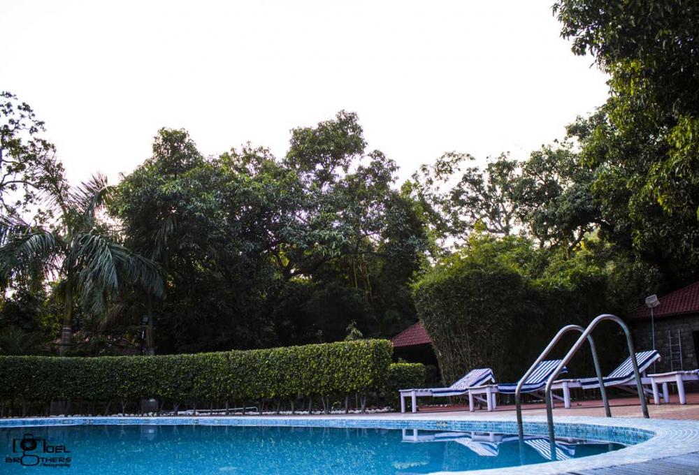 Swiming Pool Jungle Leela Resort