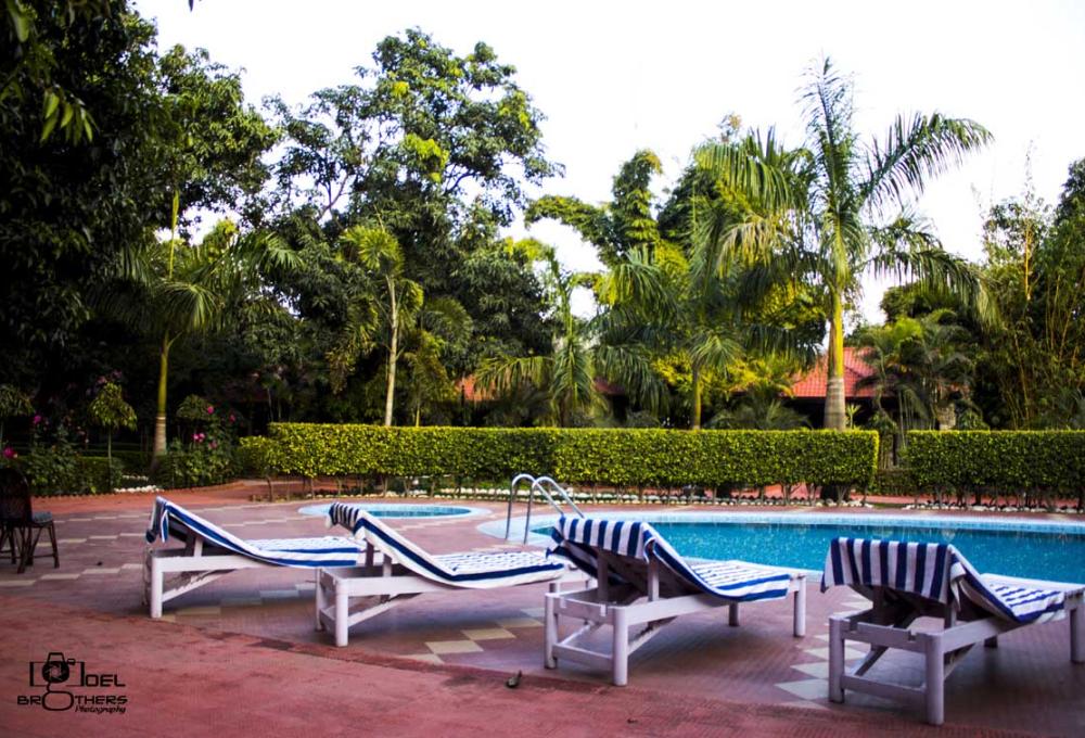 Swiming Pool Jungle Leela Resort