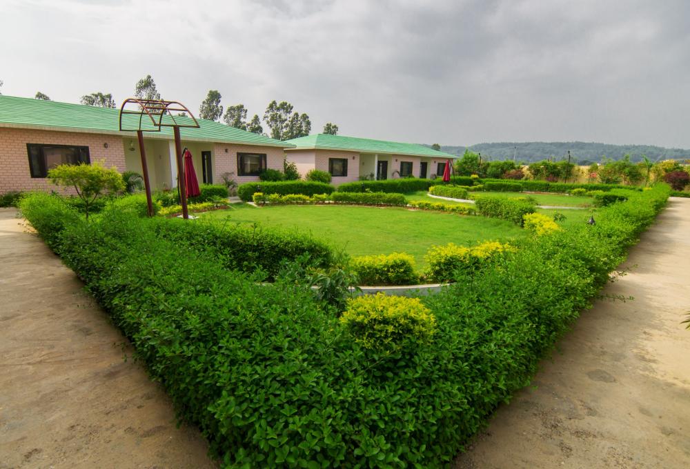 D Hotel And Resort in jim Corbett