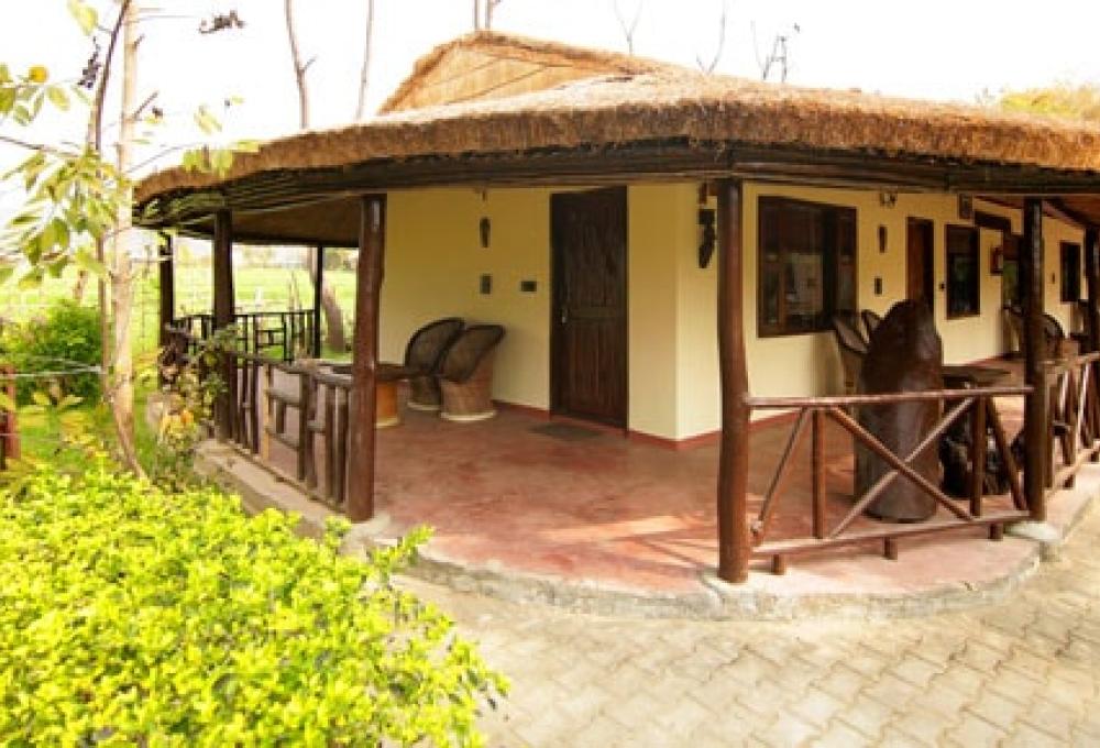 Ashokas Tiger Trail Resort In Corbett