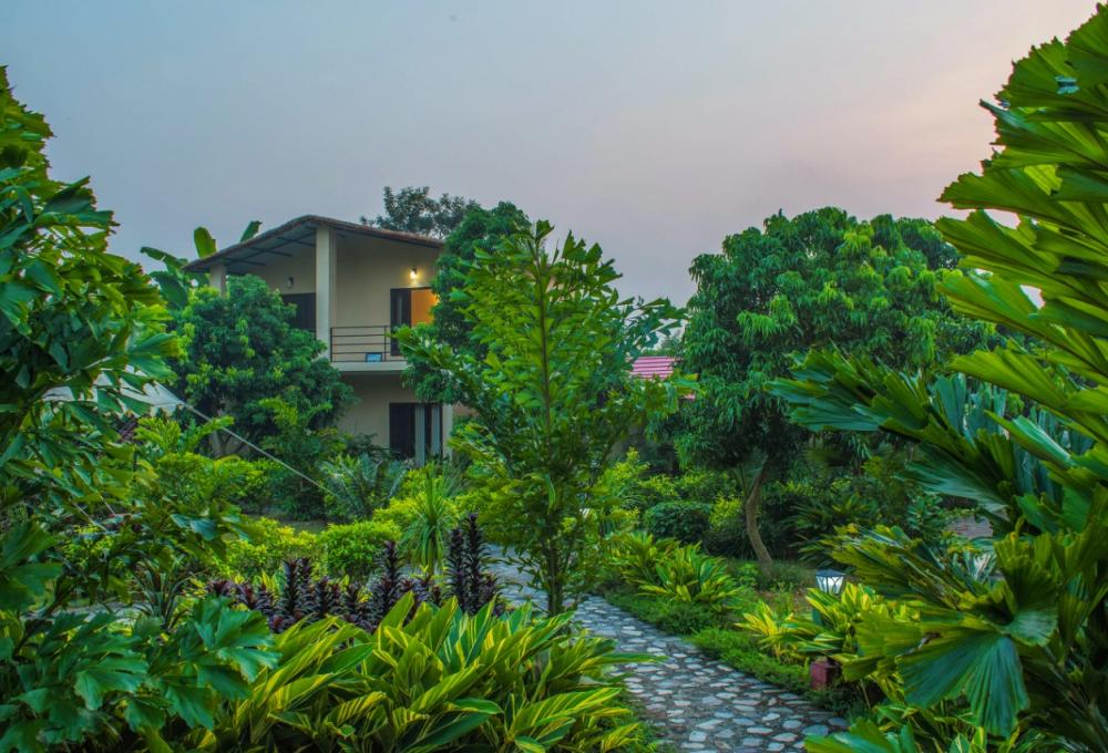 Tigers N Trees Resort Corbett