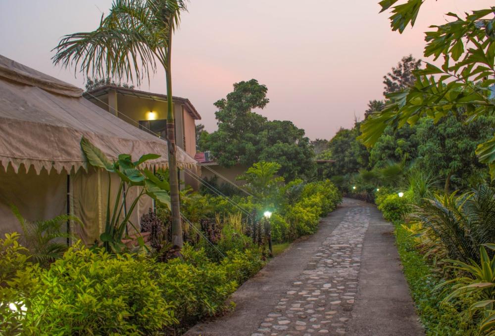 Tigers N Trees Resort in jim Corbett