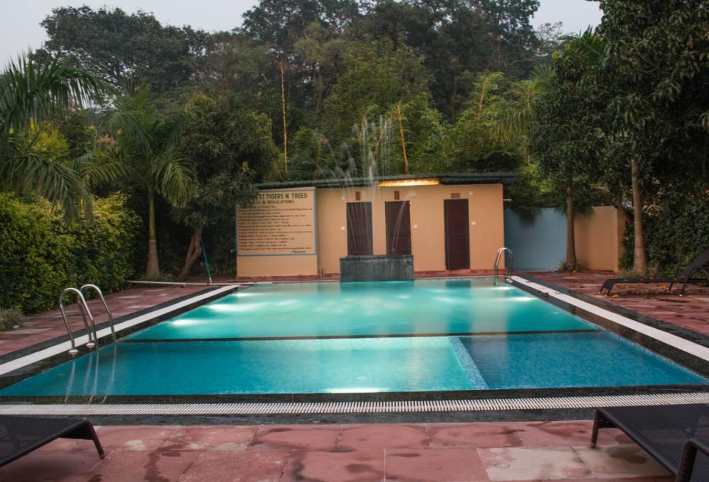 Corbett Tigers N Trees Resort