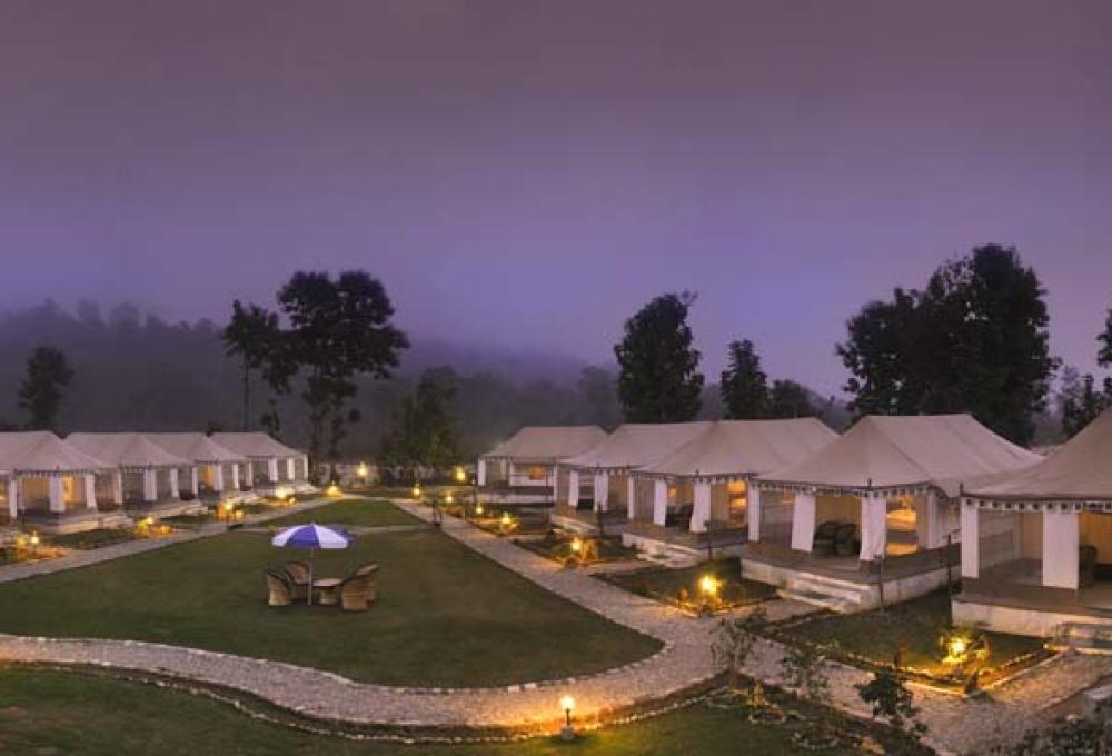 Wood Resort