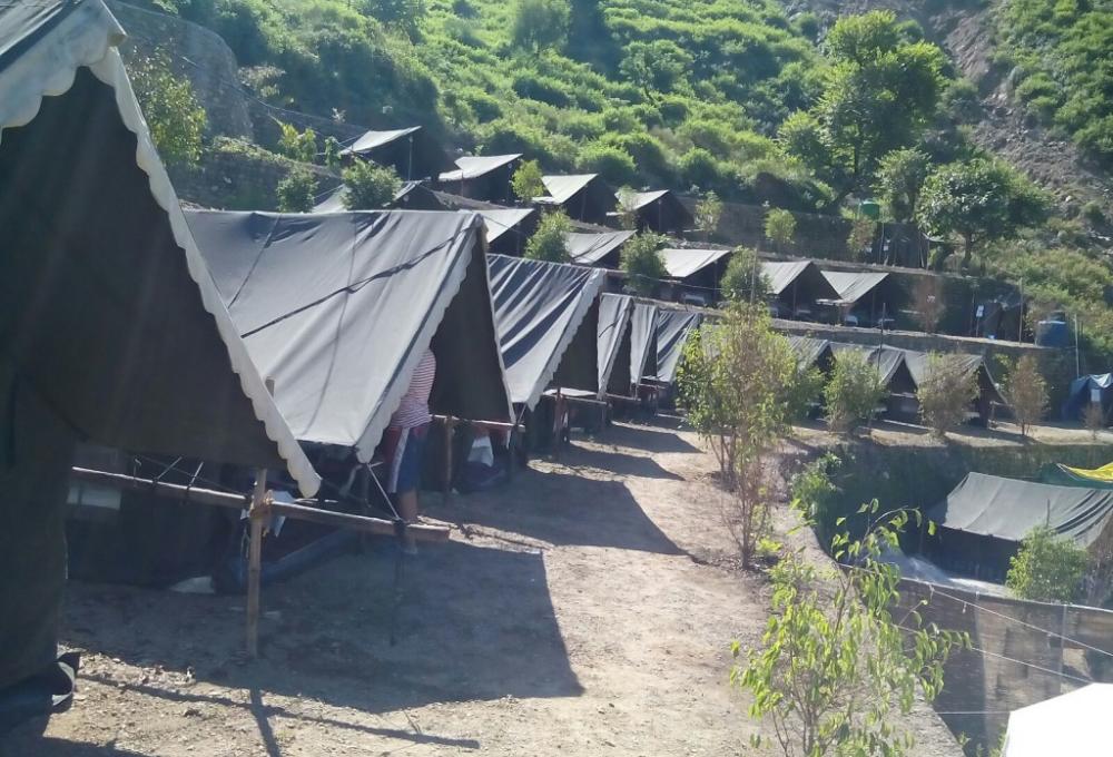 Mogli Camp
