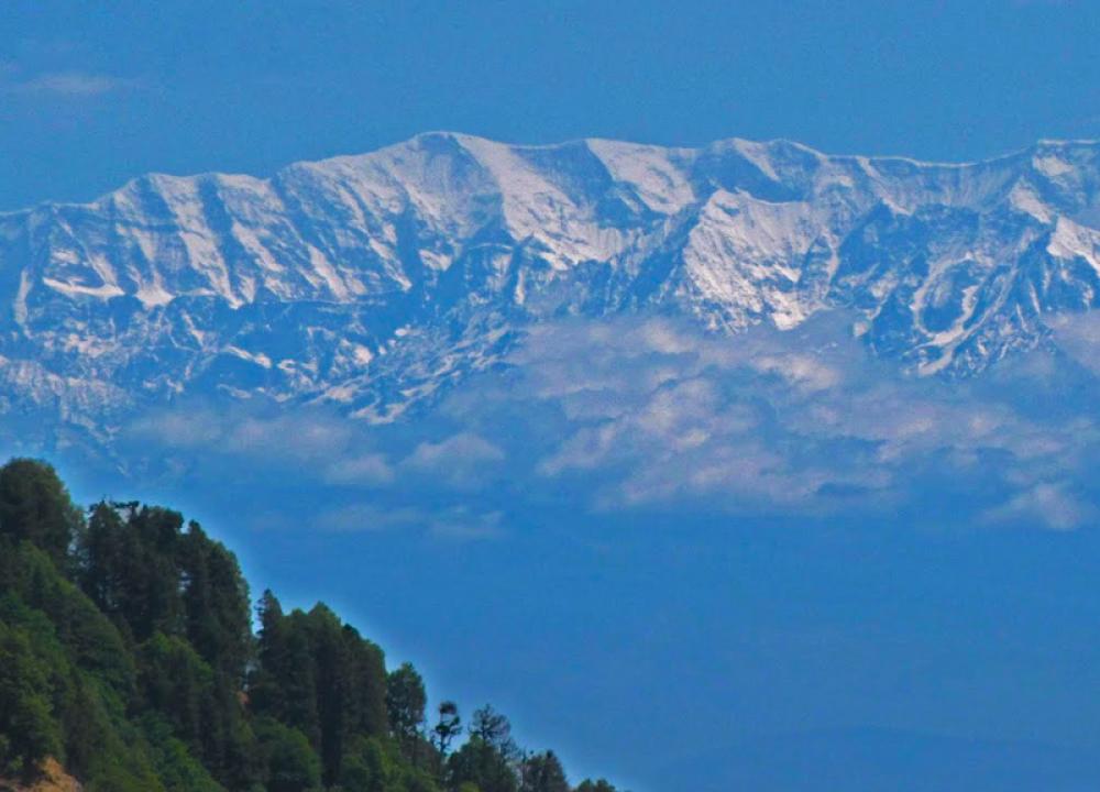 Kausani Hotels