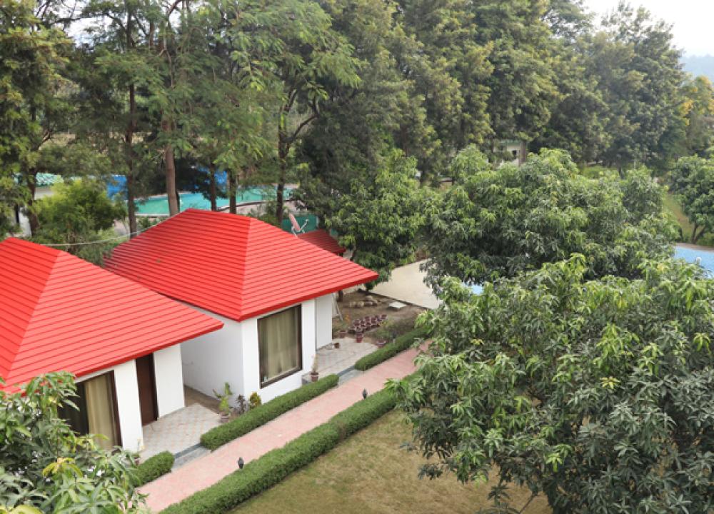 Deluxe Resorts in Jim Corbett