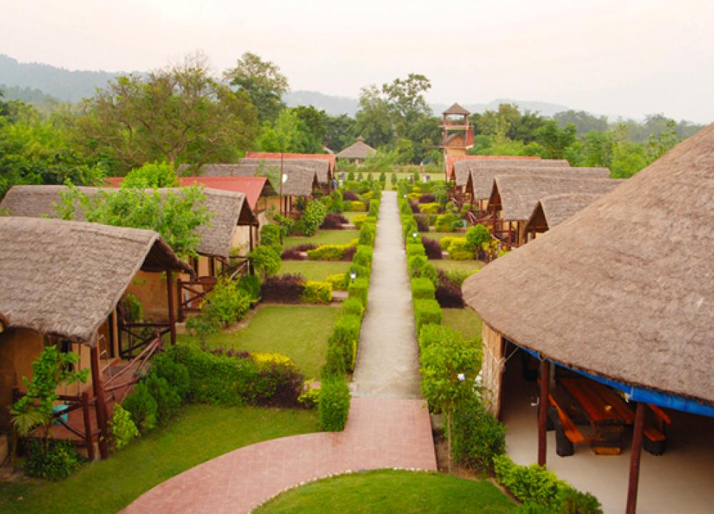 Hotels in Jim Corbett