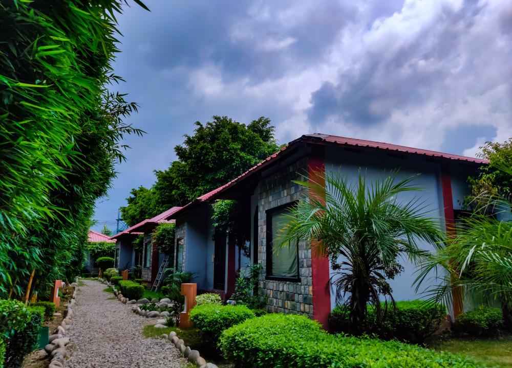 Hotels in Corbett