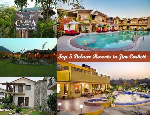 Top 10 Deluxe Resorts in Jim Corbett