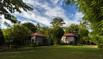 1 Night Package Machan Resort