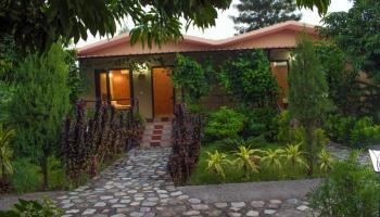 Corbett Tigers N Trees Resort Christmas Package