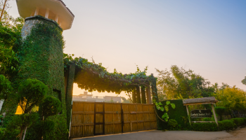 Tusker Trail Resort – New Year Package