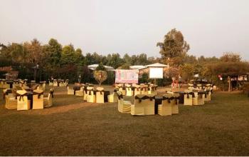 Wedding in Jim Corbett