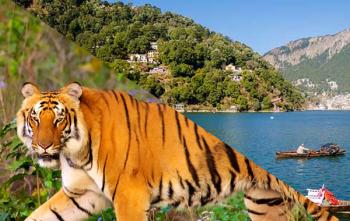 Corbett Nainital Package