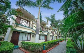 Maya The Forest Resort Christmas Packages