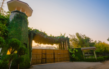 Tusker Trail Resort – New Year Package