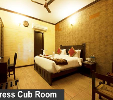 Tigress Cub Room