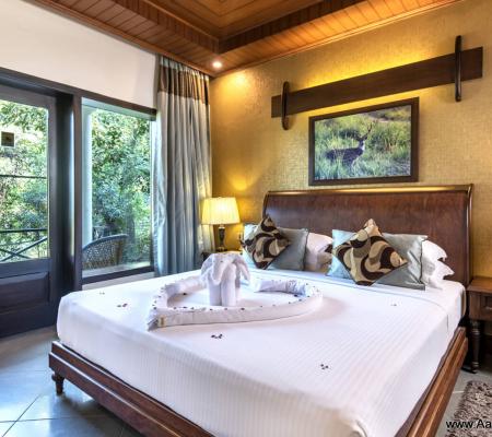 Jungle Lore Suite