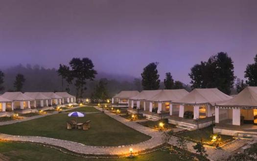 Wood Resort