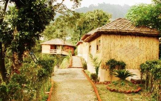 Nainital Homes and Resort