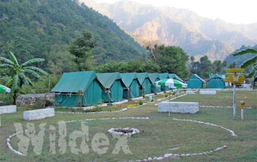 Camp Wildex