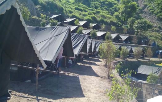 Mogli Camp