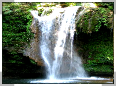 jim corbett tourist places, corbett park sightseeing, tourist attraction in corbett