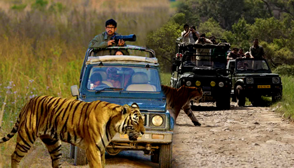 jeep safari jim corbett national park